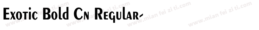 Exotic Bold Cn Regular字体转换